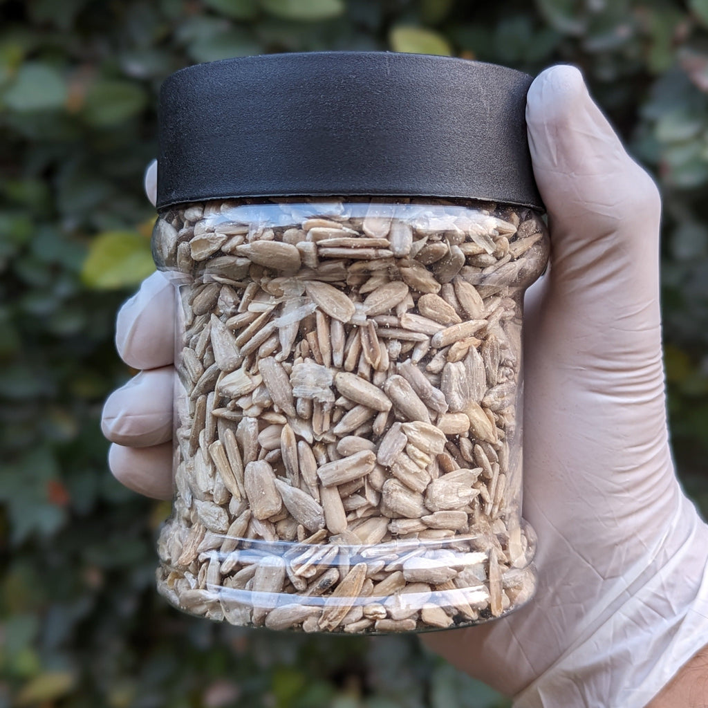 Sunflower Seeds (without Shells)