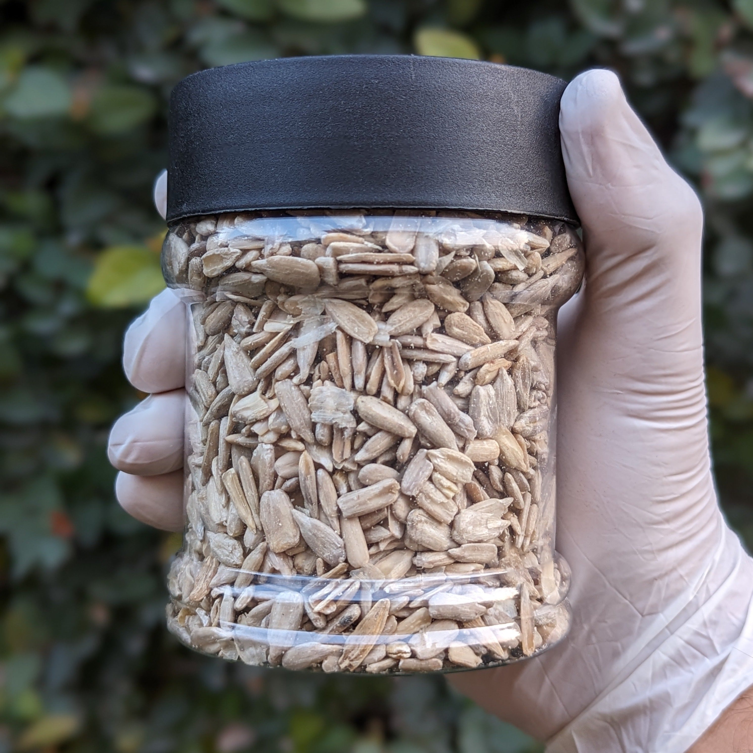 Sunflower Seeds (Without Shells)